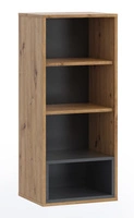 Artisan Eiche / Schwarz