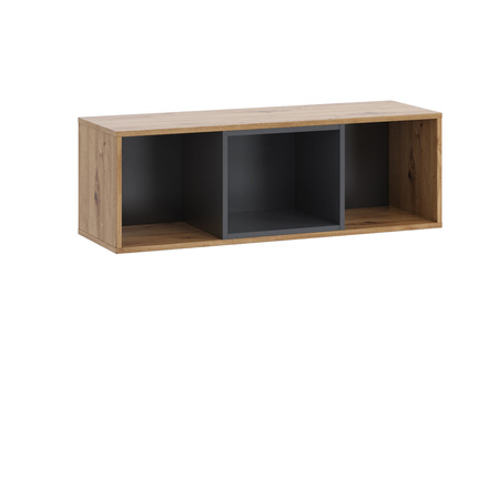 Hängeschrank Randy WISZ2D 105 cm