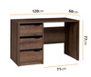 Schreibtisch Martin 120 x 60 cm