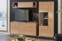 Wohnzimmermöbel Dallas III