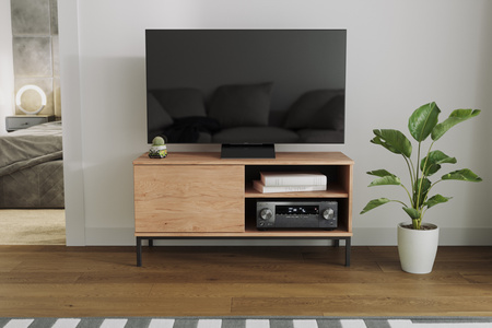 TV-Lowboard Dallas 1D 100 cm