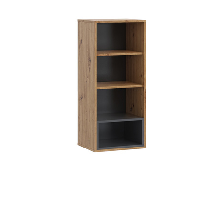 Vertikaler Hängeschrank Randy WISZ1D