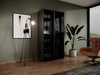 Zweitüriger Schrank Zen in Schwarz + getöntes Glas