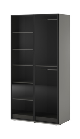 Zweitüriger Schrank Zen in Grau + getöntes Glas